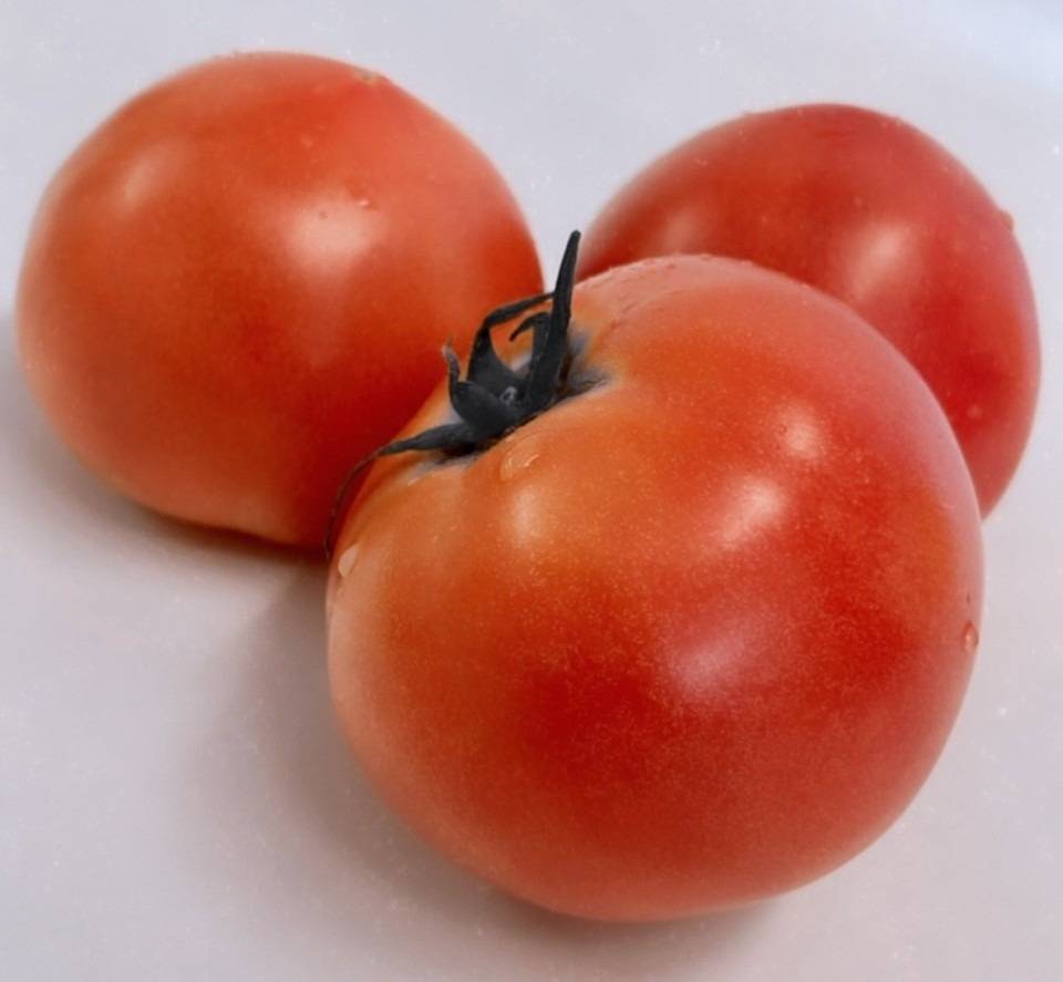 栄養成分が豊富に詰まったトマト